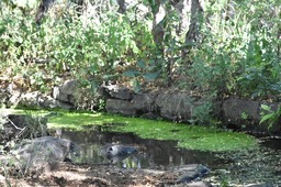 Canal Bruniquel 2