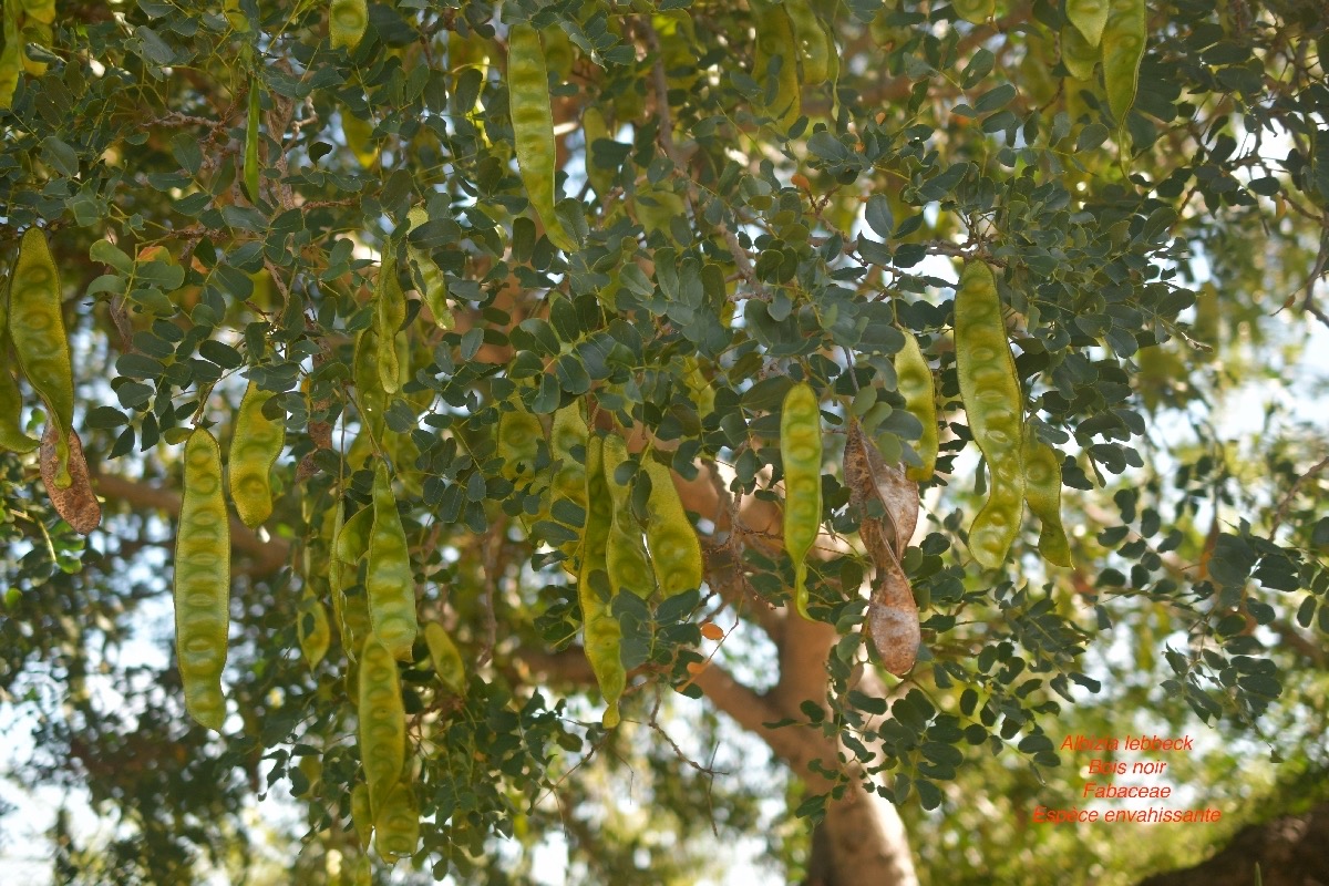 DSC_4883
