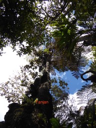 P1010709