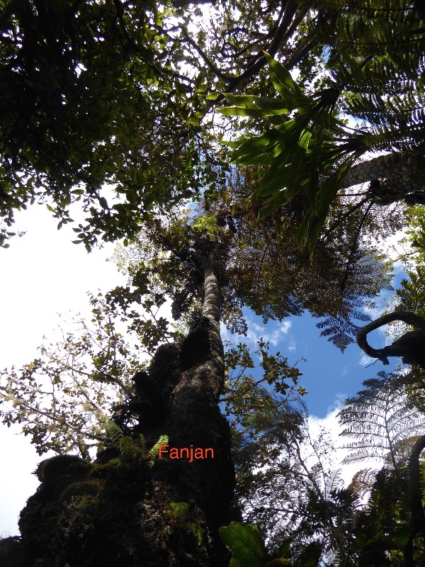 P1010709