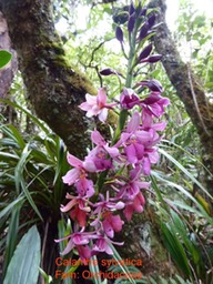 P1010736