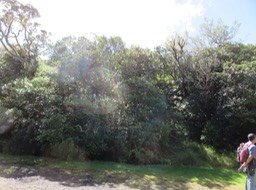 IMG_0045