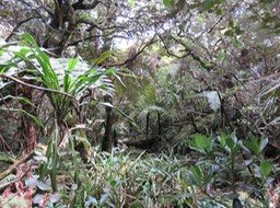 IMG_0048