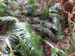 IMG_0049