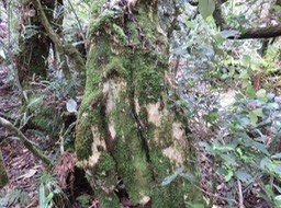 IMG_0050
