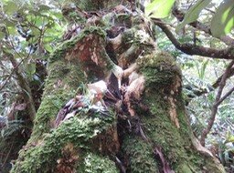 IMG_0051