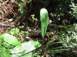 IMG_0053