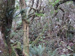 IMG_0067