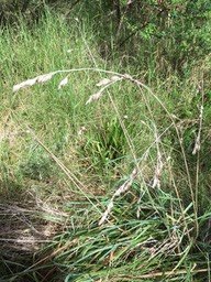 IMG_1278