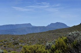Depuis le Pas des sables / Branles bâtard, blanc et vert