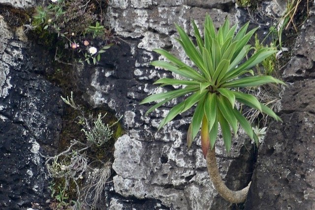 P1050789
