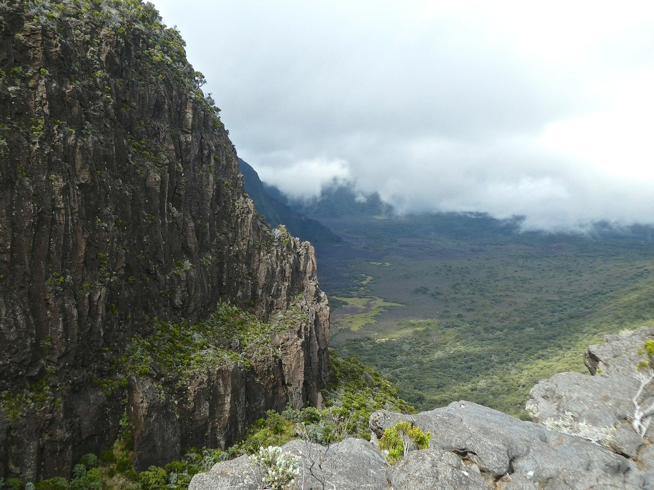 P1700099