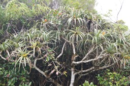 DSC08527