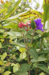 DSC08592