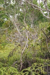 DSC08601