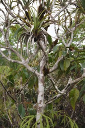 DSC08602