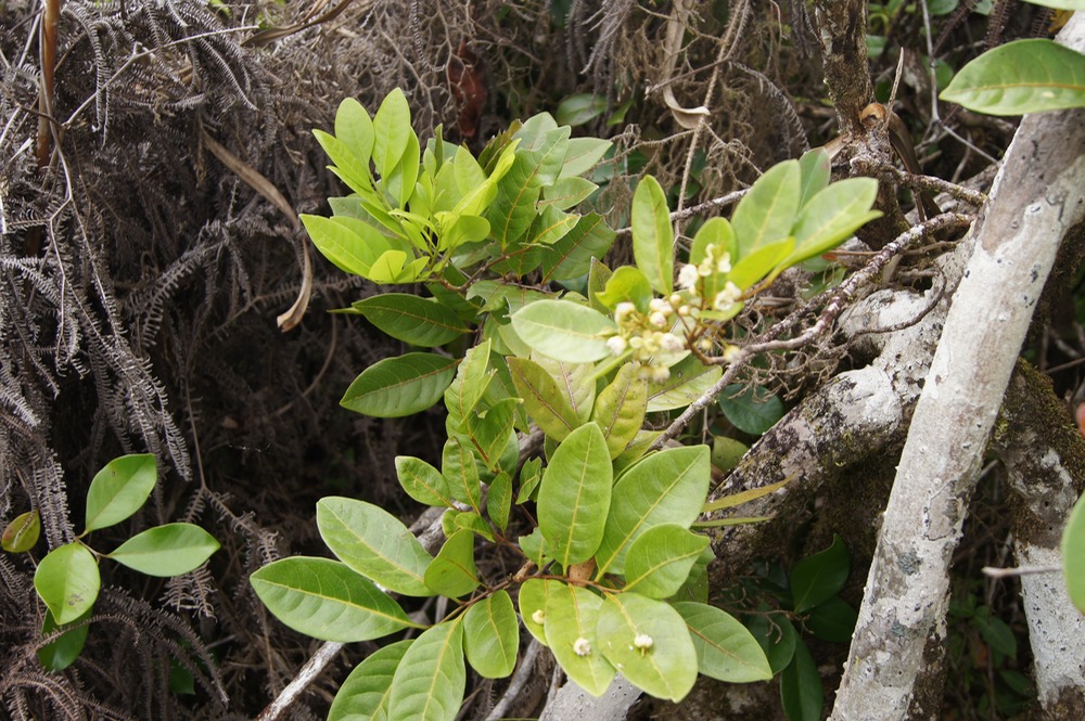 DSC08605