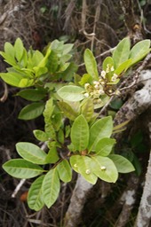 DSC08606