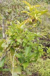 DSC08609