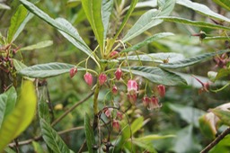 DSC08675