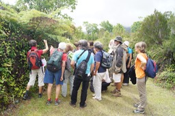P- Amis-univ-2