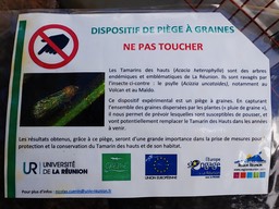 Piège à graines (2)