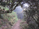 Le sentier