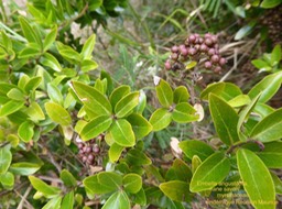 P1400757