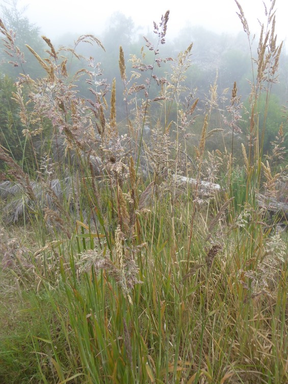 P1400796