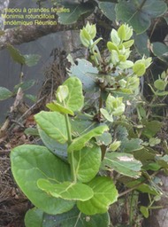 P1400810