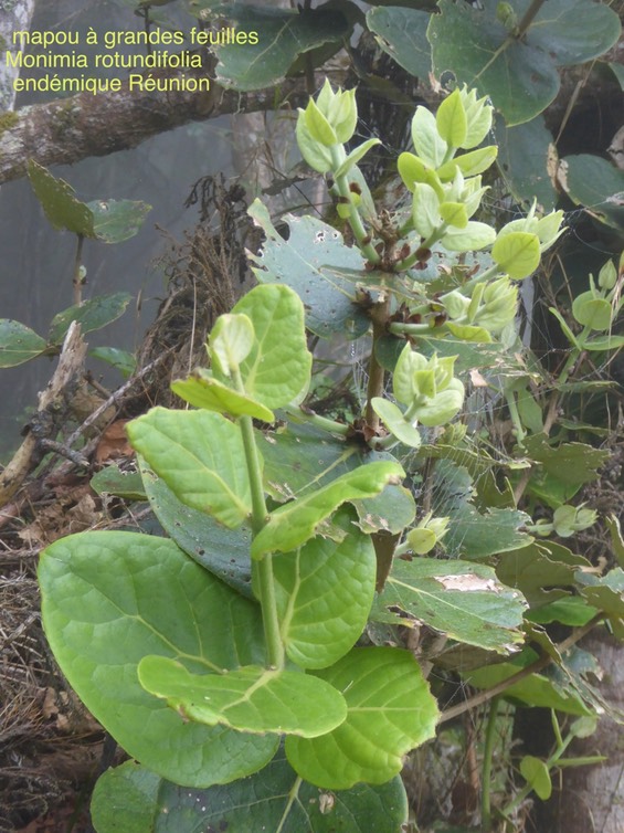 P1400810