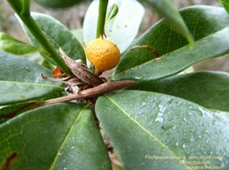 P1400973