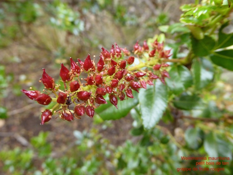 P1400997