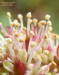 P1410036