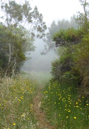 P1410062