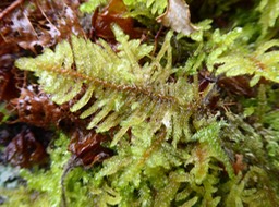 P1410097
