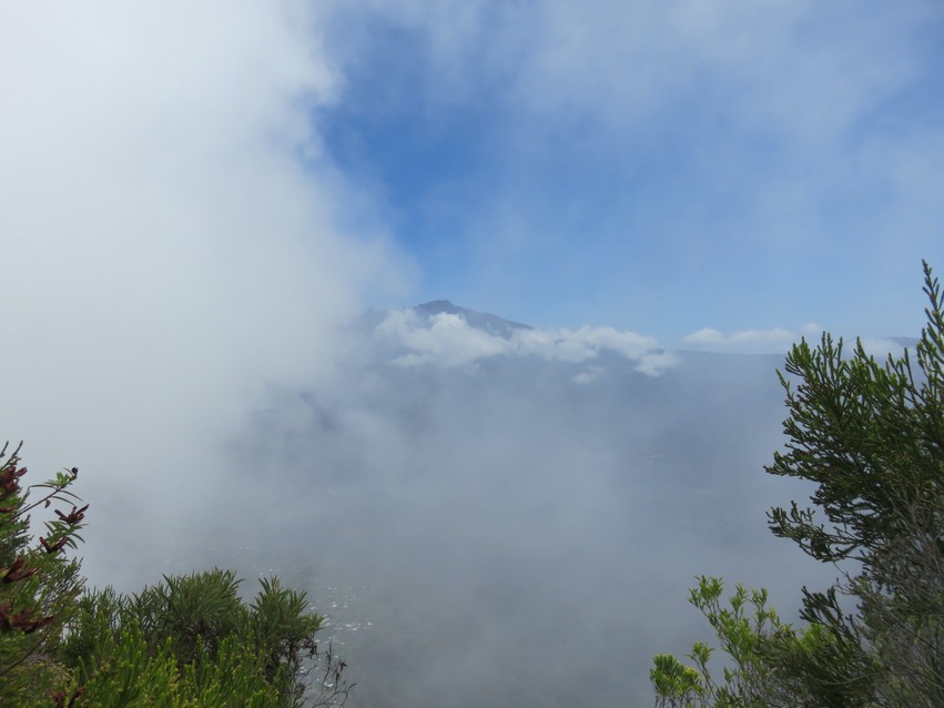 12 Le Piton des Neiges vu depuis le sentier