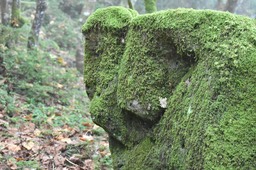 Deux amoureux