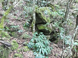 P1690218