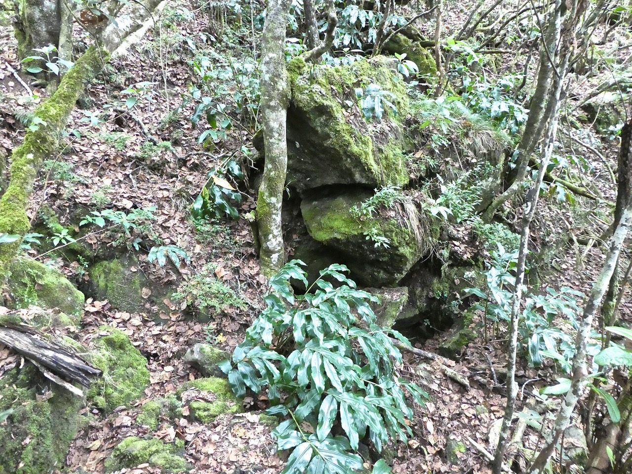 P1690218
