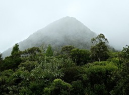 P1690240