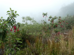 P1690335
