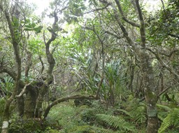 P1690444