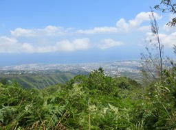 2 Sur le sentier, vue sur Saint-Denis