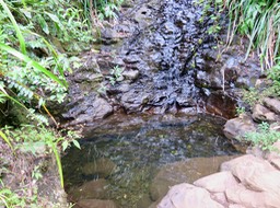 17 Bassin au pied de la cascade penchée