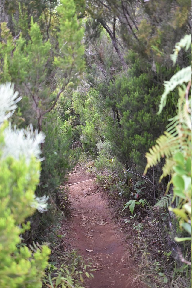 Chemin après la crête