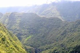 DSC_1718