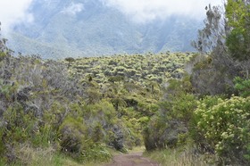 La piste du belvédère de la rivière des Marsouins