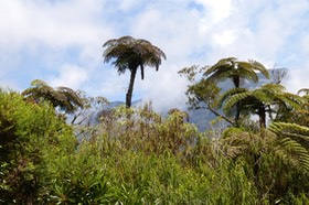 P1022221