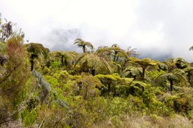 P1022252